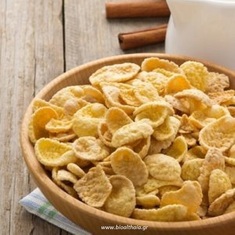 Corn Flakes bio 1000gr Health Trade