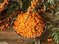 Ιπποφαές / Sea Buckthorn Osmotic X/Z BIO 1000gr