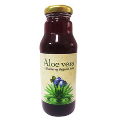 Χυμός Αλόης με Blueberry Βιολογικός 300ml Health Trade